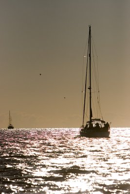 IMG_3734b.jpg