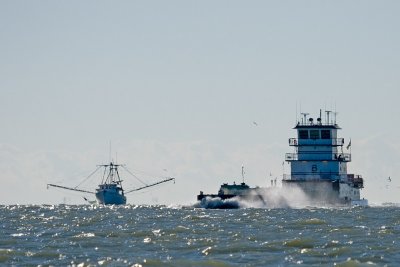 IMG_3828b-c.jpg