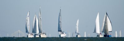IMG_3967b-c.jpg