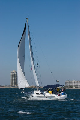 IMG_4054b.jpg