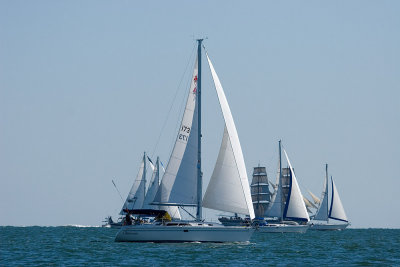 IMG_4204b.jpg