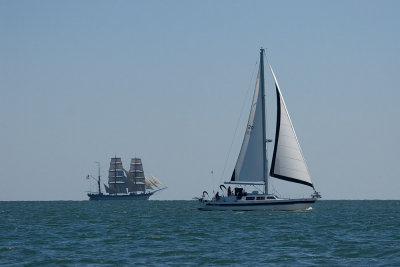 IMG_4217b.jpg