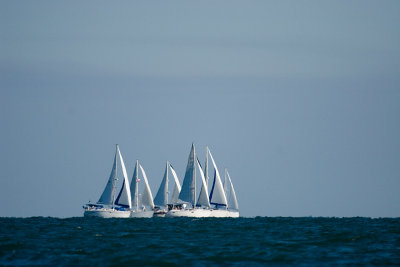 IMG_4289b.jpg