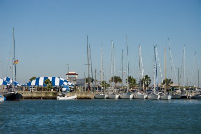 IMG_4332b.jpg