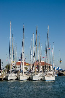 IMG_4333b.jpg