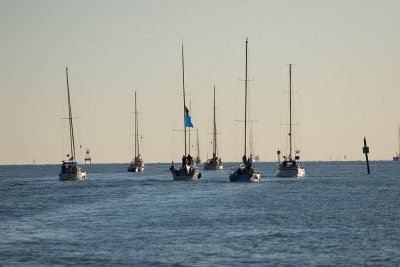IMG_3687b.jpg