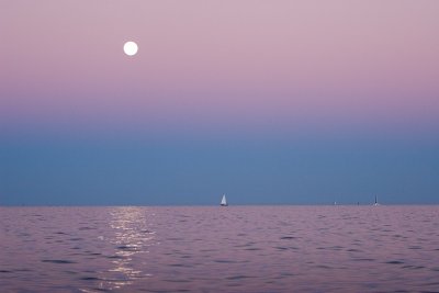 IMG_4306b_1.jpg