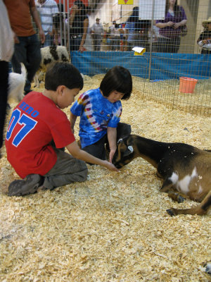 Houston Rodeo