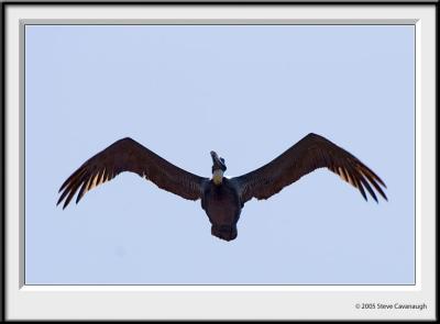 IMG_3026-r.jpg