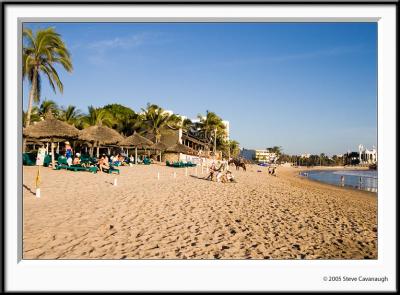 IMG_3209_1-r.jpg