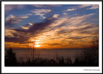 IMG_4517-r.jpg