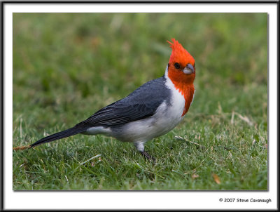 IMG_0820-r.jpg