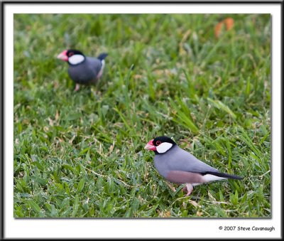 IMG_0843-r.jpg