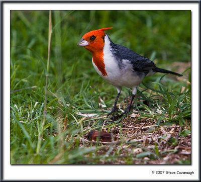 IMG_0827-r.jpg
