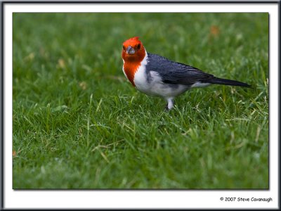 IMG_0833-r.jpg