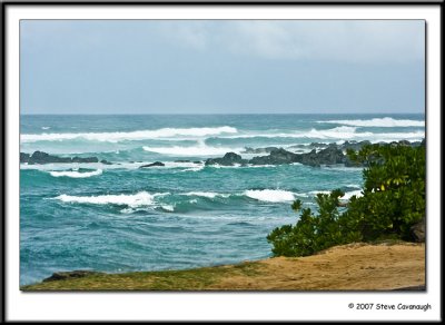 IMG_0458-r.jpg