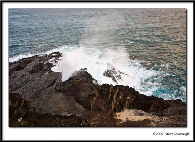 IMG_0607-r.jpg