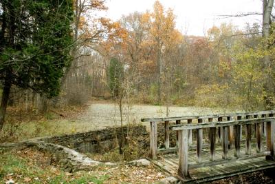 Pond November.jpg
