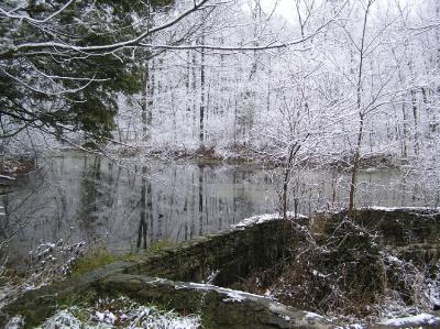 Pond December.jpg