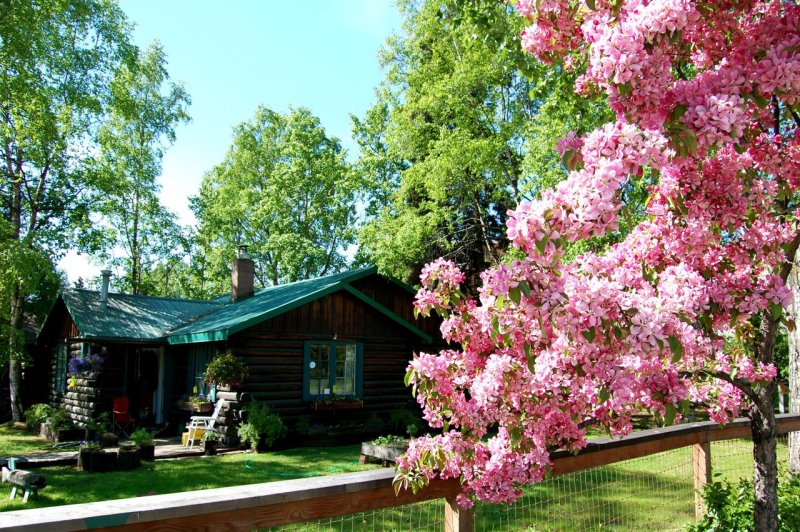 cabin from the street corner