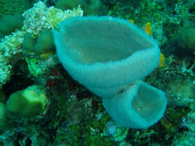 P1100034.jpg