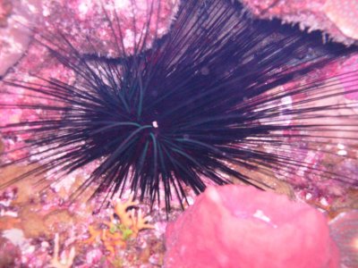 PICT0010.jpg