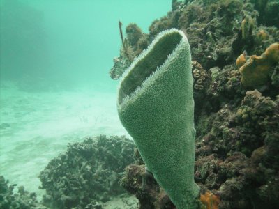 PICT0021.jpg