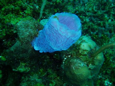 P1110046.jpg