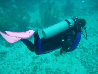 P1110029.jpg