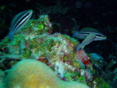 P1120021.jpg
