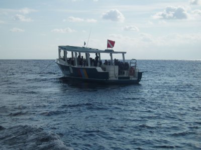 P1130020.jpg