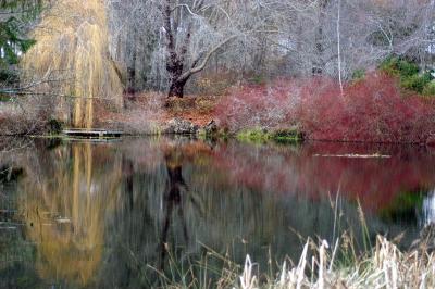 Winter Reflections in Victoria.