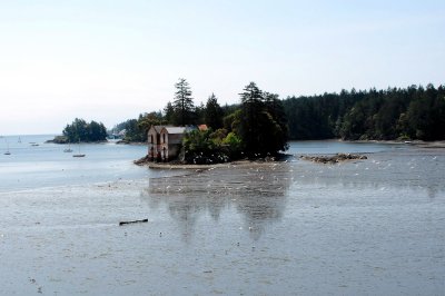 Cole Island at low tide.