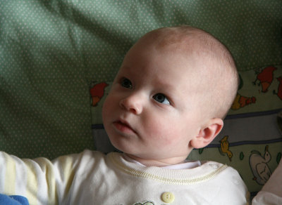 amelia01 small.jpg