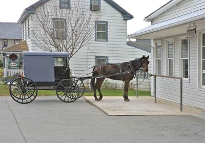 Amish Buggy Intercourse PA_R5Z2979 copy.jpg