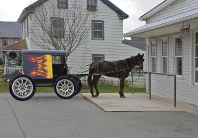 Amish Buggy Intercourse PA Flame_R5Z2979 copy.jpg