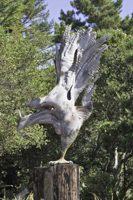 g3/01/608201/3/54374136.NepentheEagleBigSurCalif_R5Z1548copy.jpg