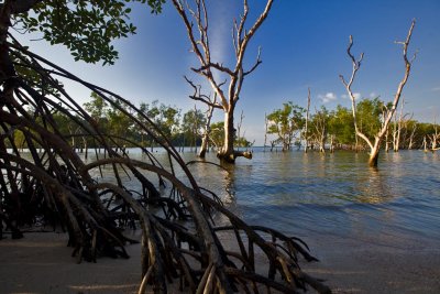 Koh Phayam