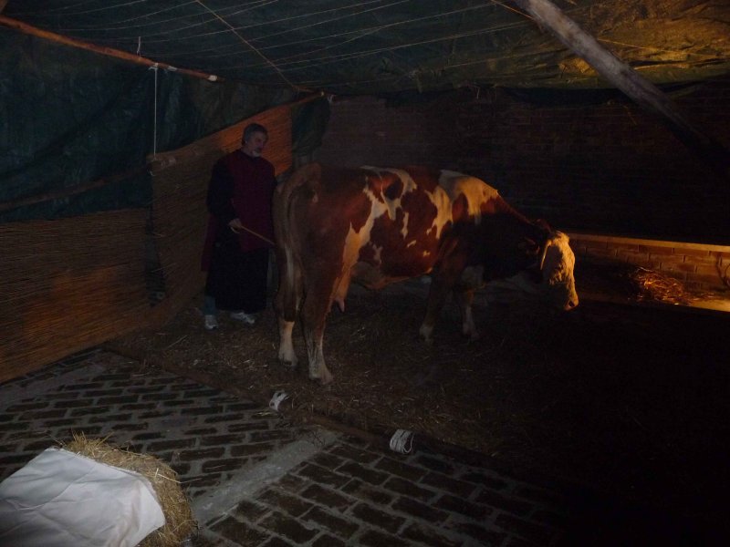 Presepe vivente - Living Cribb - Spoltore (Abruzzo)