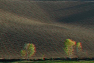 3D 009.jpg