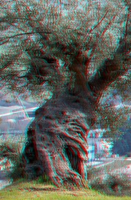3D 022.jpg