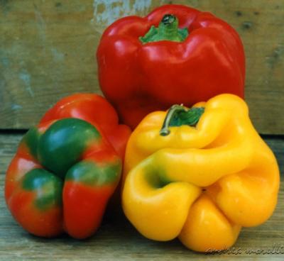 Nuance of peppers