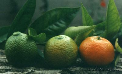 Nuance of mandarins