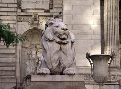 Ornaments of the Library