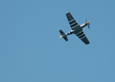 P-51 Cadillac of the sky