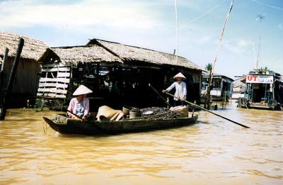 Mehkong delta