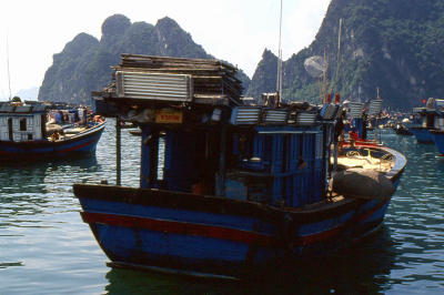 Shrimp fishing boats