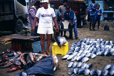 Fish market