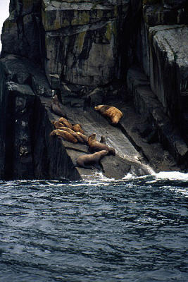 Seals at rest