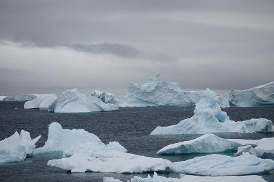 Iceberg garden